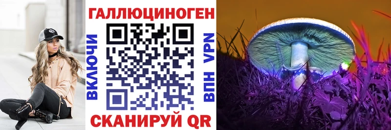 кракен зеркало  Югорск  Галлюциногенные грибы Psilocybine cubensis 